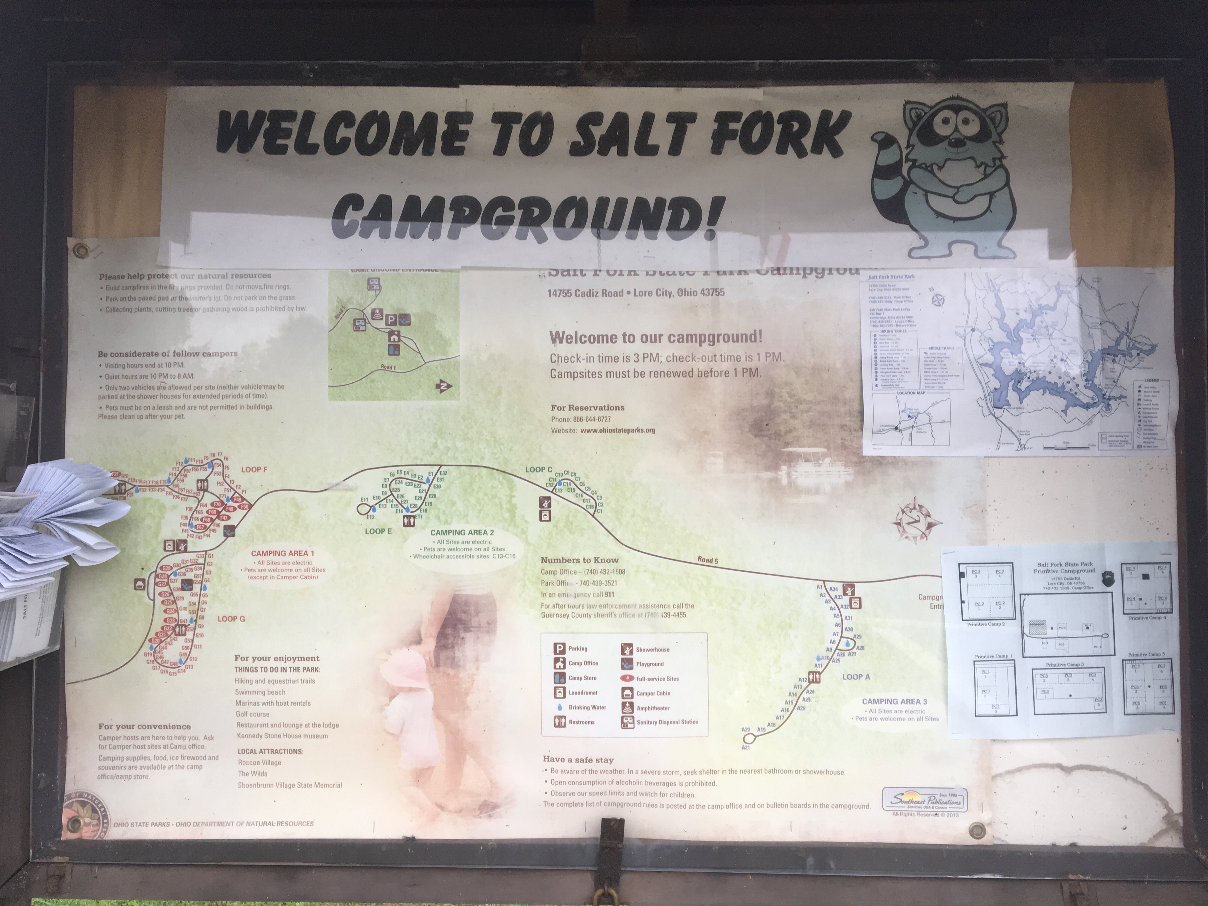 Camper submitted image from Salt Fork State Park Campground - 4