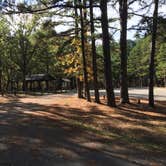 Review photo of Berryman Trail & Campgrounds - Mark Twain National Forest by Shelly S., October 26, 2017