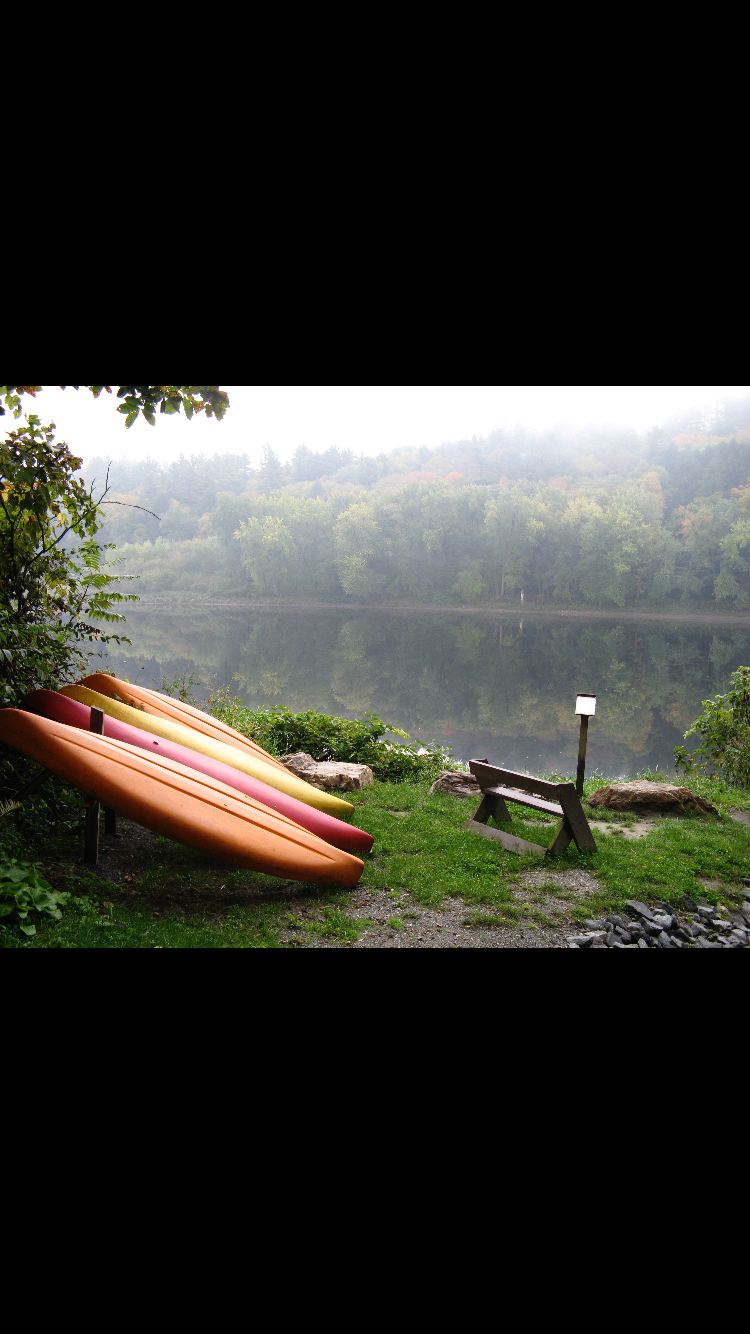 Camper submitted image from Wilgus State Park Campground - 5