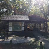 Review photo of Berryman Trail & Campgrounds - Mark Twain National Forest by Shelly S., October 26, 2017