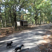 Review photo of Berryman Trail & Campgrounds - Mark Twain National Forest by Shelly S., October 26, 2017