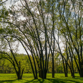 Review photo of Hickories Park Campground by Paully B., October 26, 2017