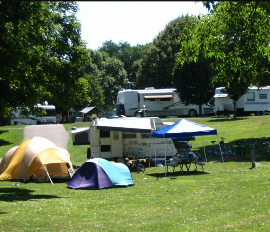Camper submitted image from Hickories Park Campground - 3