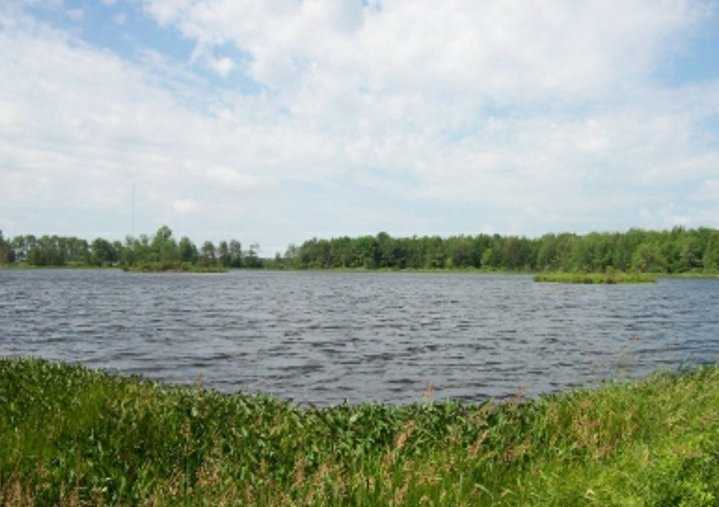 View All