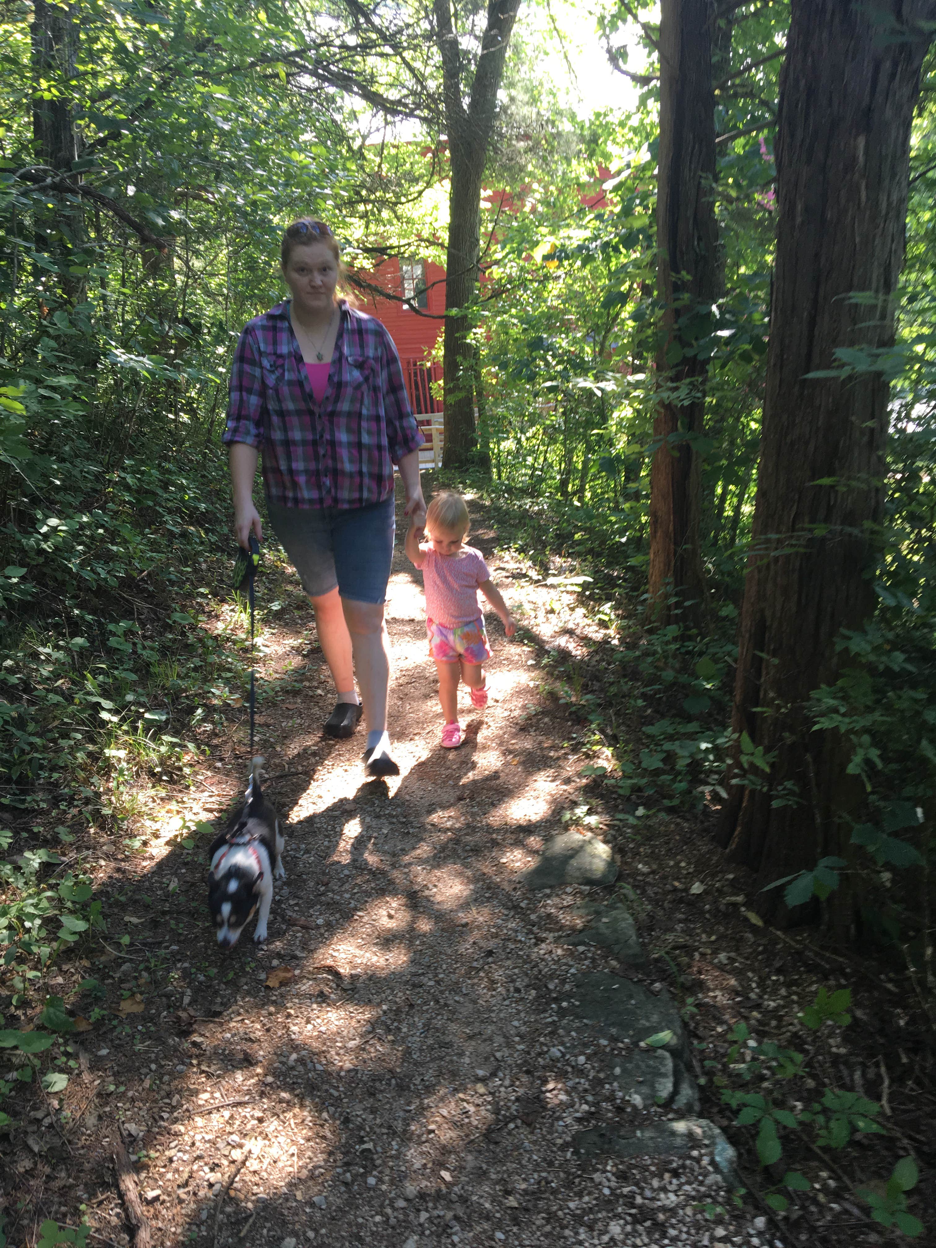 Camper submitted image from Powder Mill Backcountry Camping — Ozark National Scenic Riverway - 1