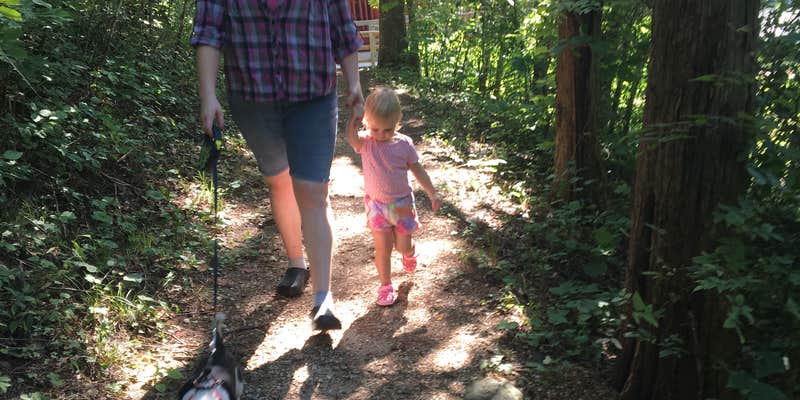 Camper submitted image from Powder Mill Backcountry Camping — Ozark National Scenic Riverway