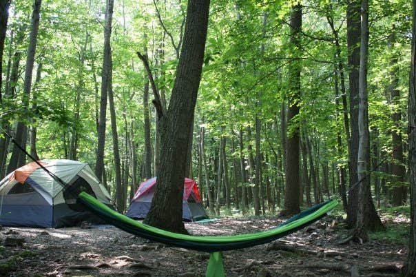 Tiffany N.'s photo of tent camping at Round Valley State Park Campground near Fort Washington, PA