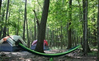 Tiffany N.'s photo of tent camping at Round Valley State Park Campground near Rumson, NJ