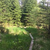 Review photo of Wilgus State Park Campground by Tim K., July 1, 2016
