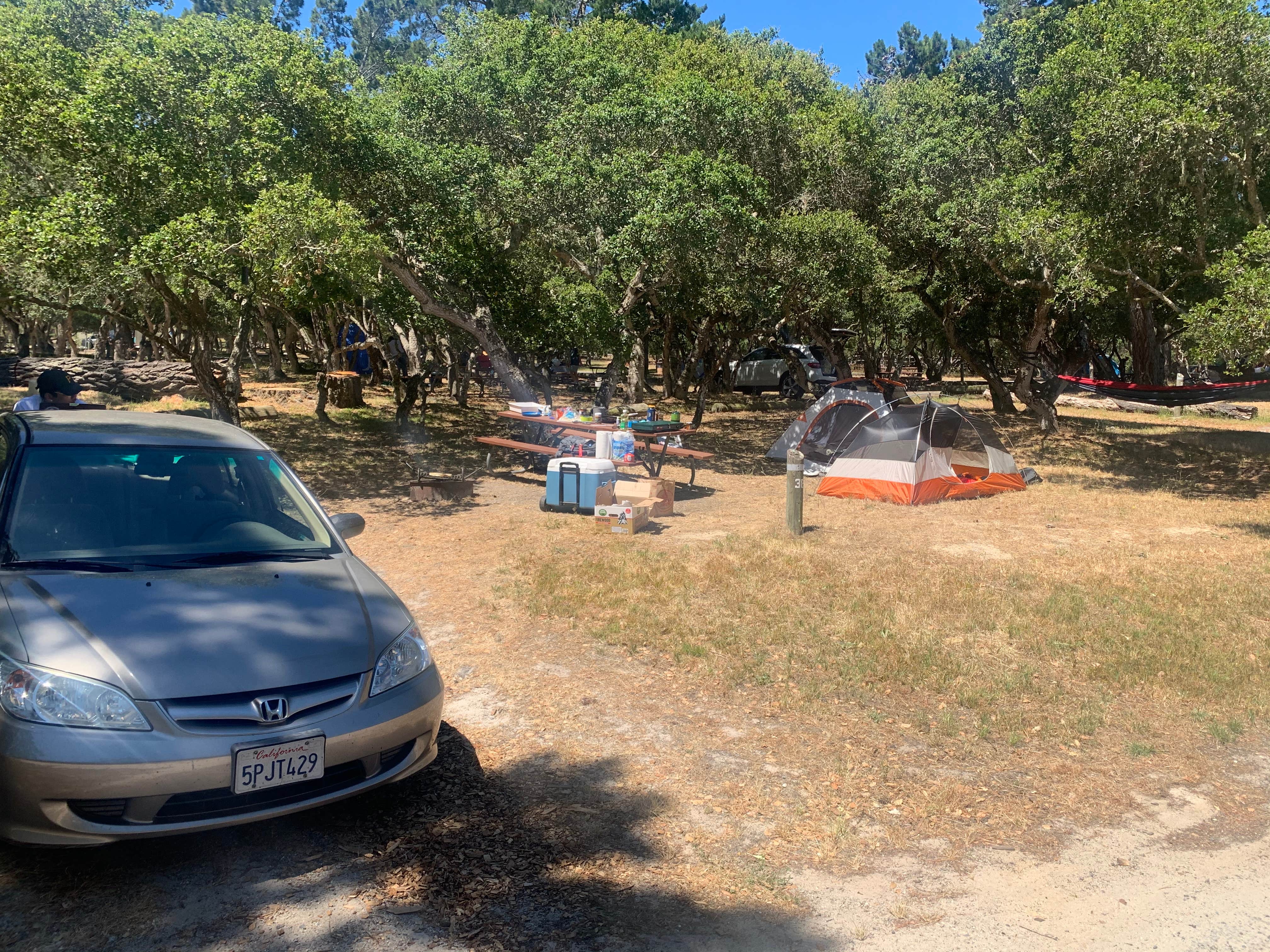 Camper-submitted photo at Veteran's Memorial Park Campground near Paicines, CA