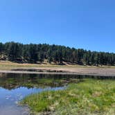 Review photo of El Prado Campground by Luis N., June 19, 2020