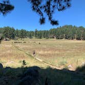 Review photo of El Prado Campground by Luis N., June 19, 2020