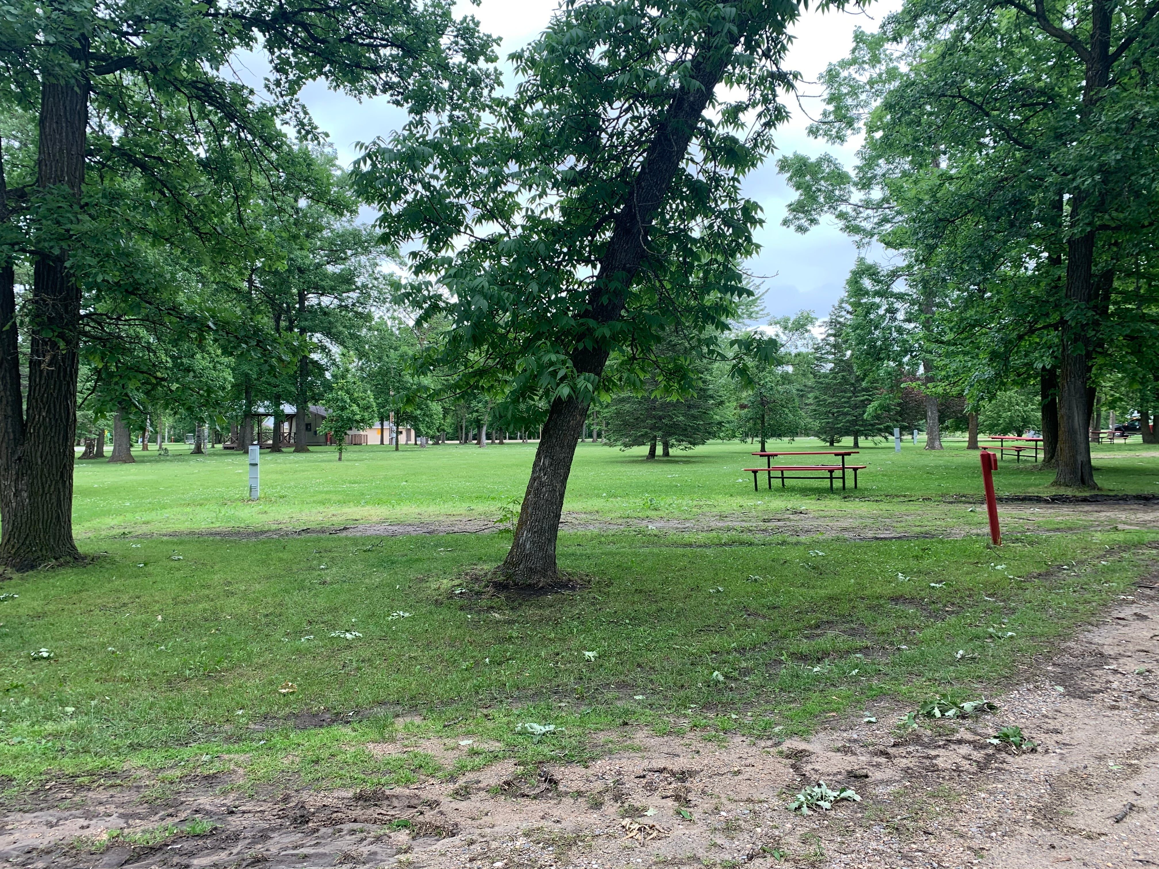 Camper submitted image from Roseau City Park - 4