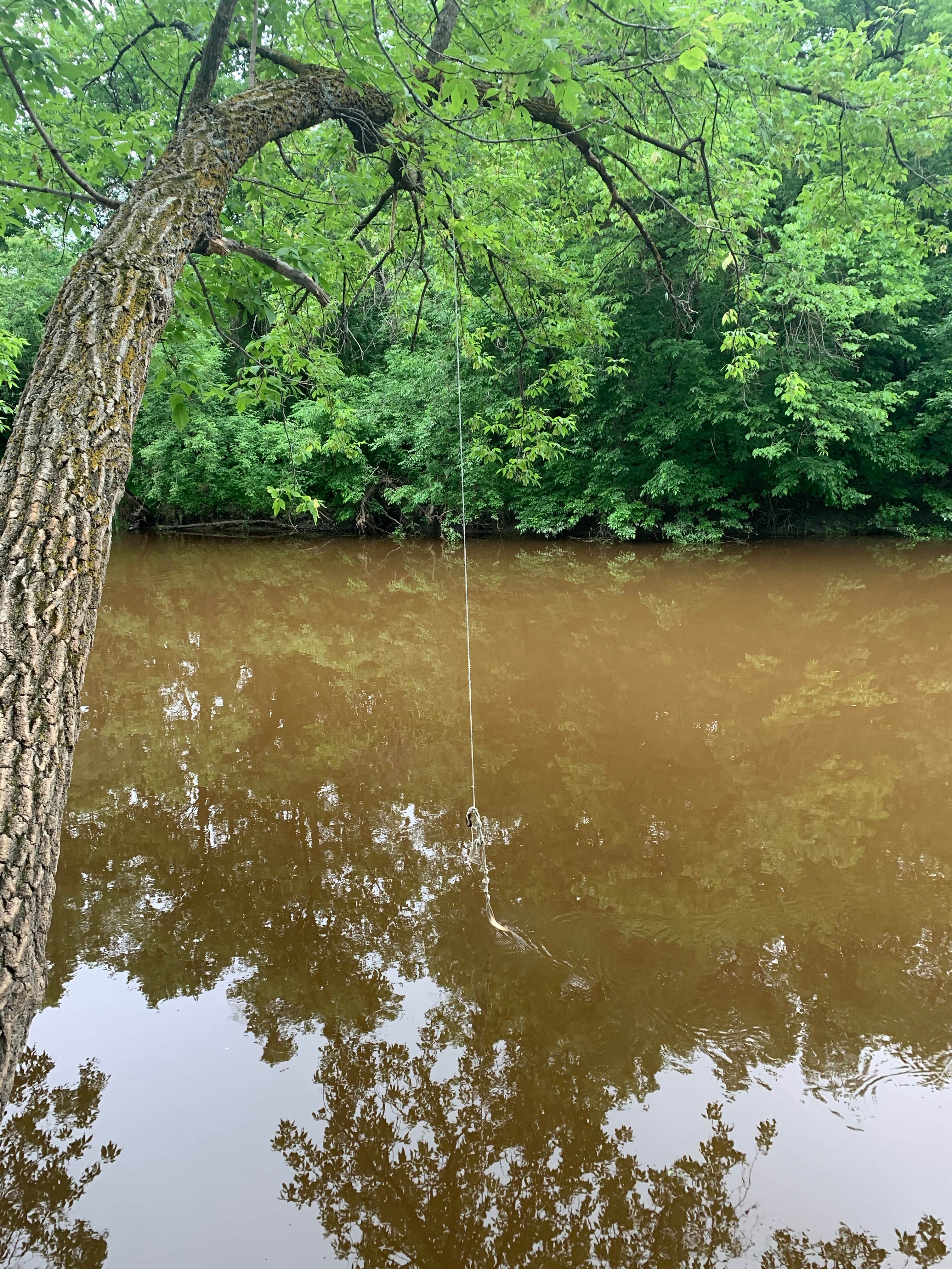 Camper submitted image from Roseau City Park - 3