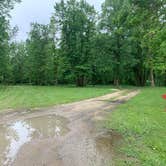 Review photo of Roseau City Park by Scott M., June 19, 2020