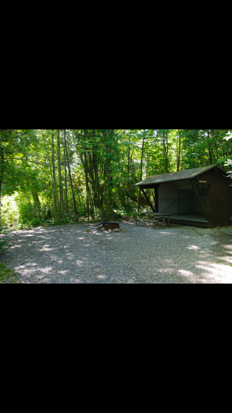 Camper submitted image from Wilgus State Park Campground - 3