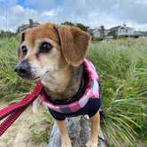 Review photo of Cannon Beach RV Resort by Vivi W., June 19, 2020