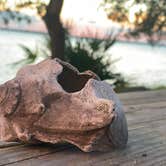 Review photo of North Beach Camp Resort by Mark A., June 19, 2020