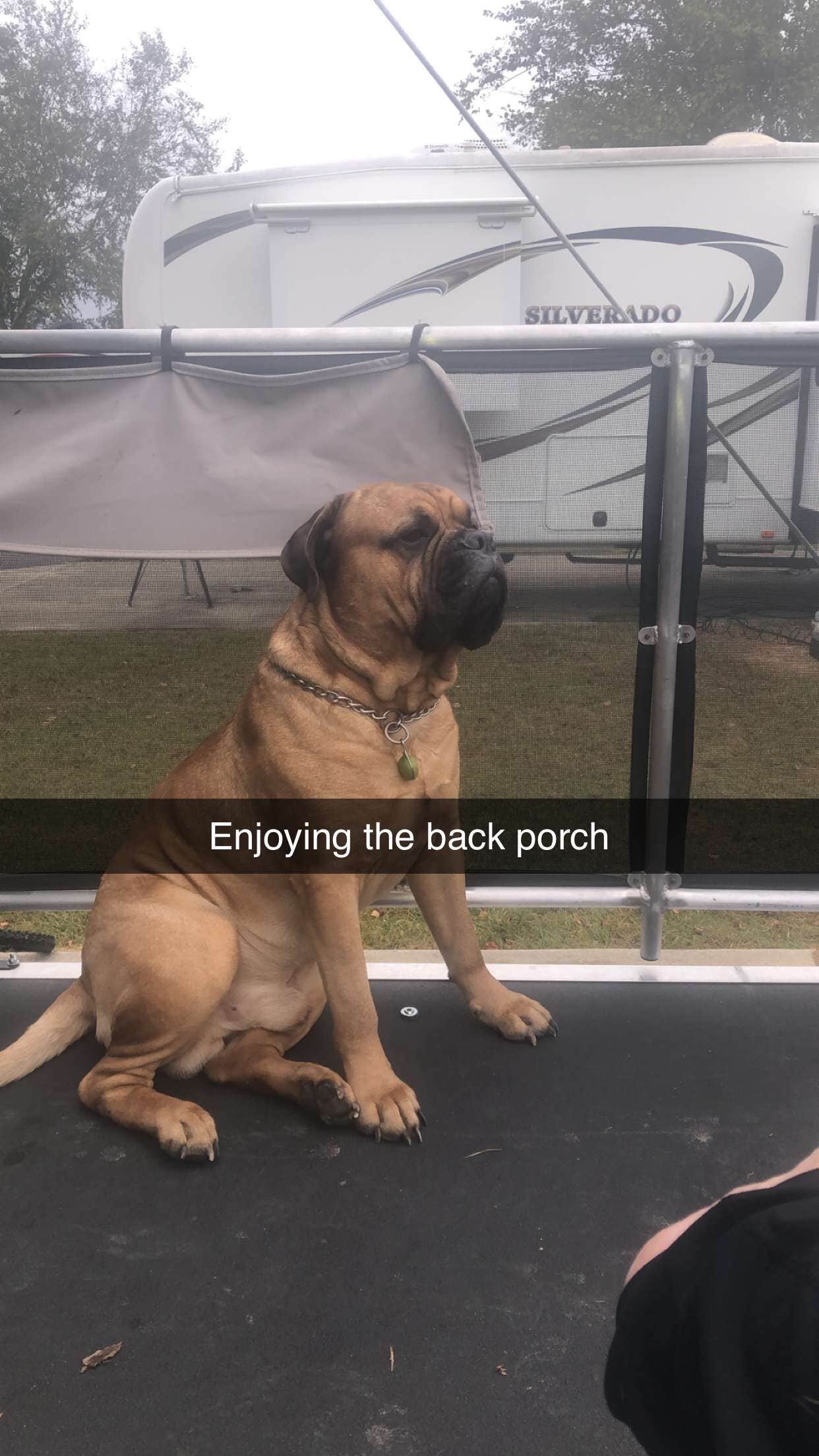 Jessie N.'s photo of camping with pets at Yogi Bear's Jellystone Park at Daddy Joe's near Cherry Grove Beach, SC