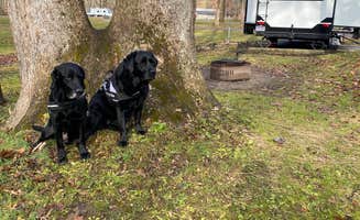 Andrea F.'s photo of rv camping at Mohican State Park Campground near Lucas, OH