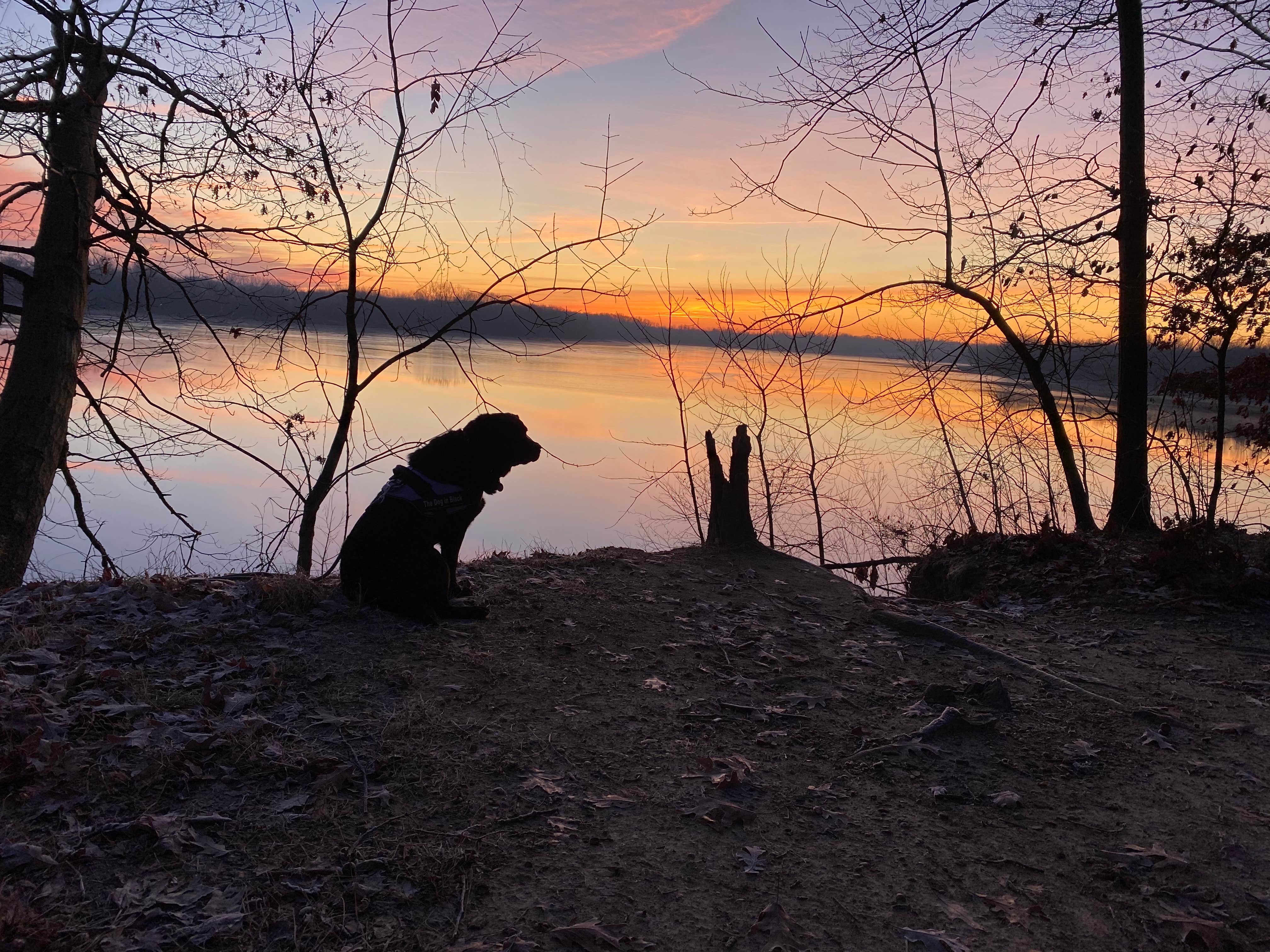 Andrea F.'s photo of camping with pets at Delaware State Park Campground near Alexandria, OH