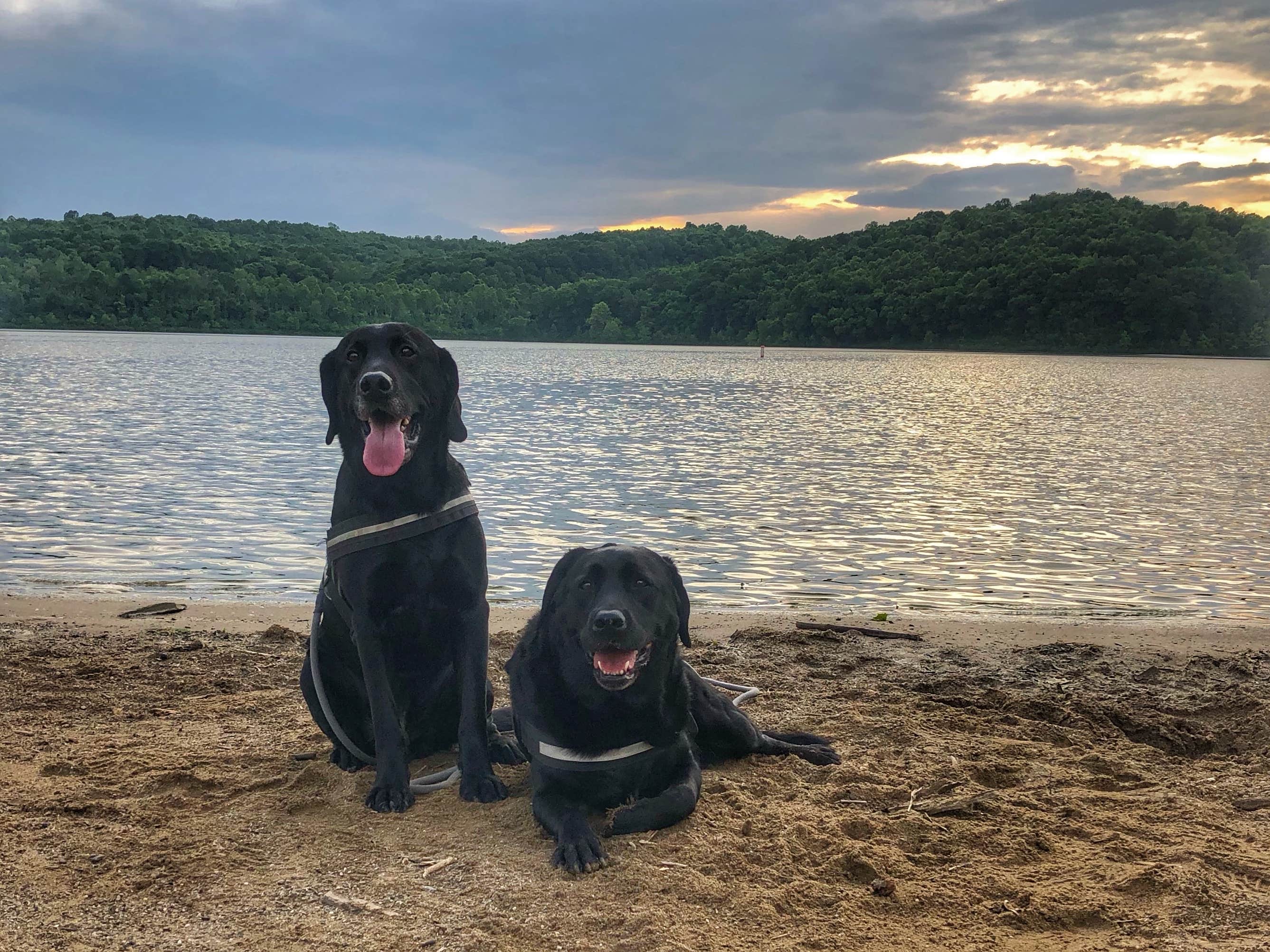 Andrea F.'s photo of camping with pets at Dillon State Park Campground near New Lexington, OH