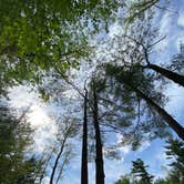 Review photo of Findley State Park Campground by Andrea F., June 19, 2020