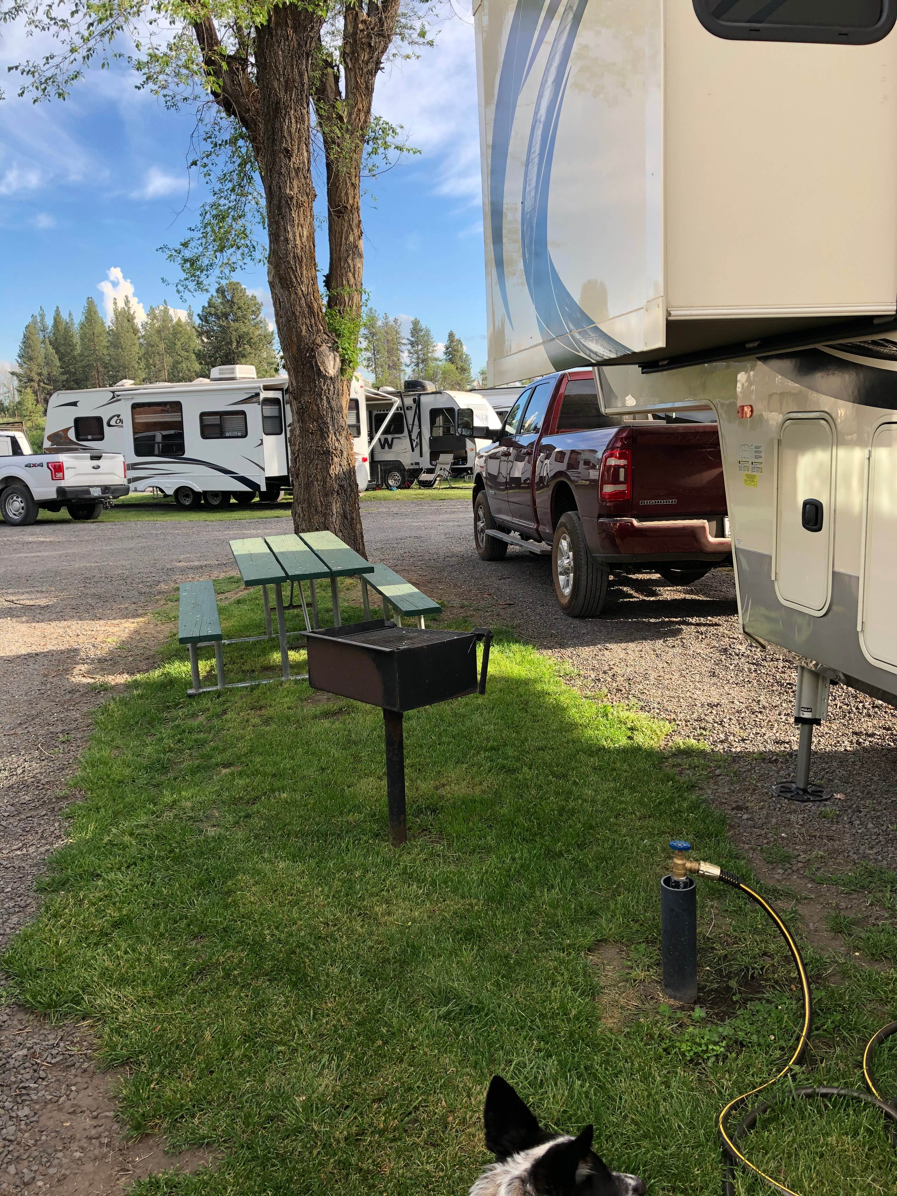 Camper-submitted photo at Waterwheel RV Park & Campground near Crater Lake, OR