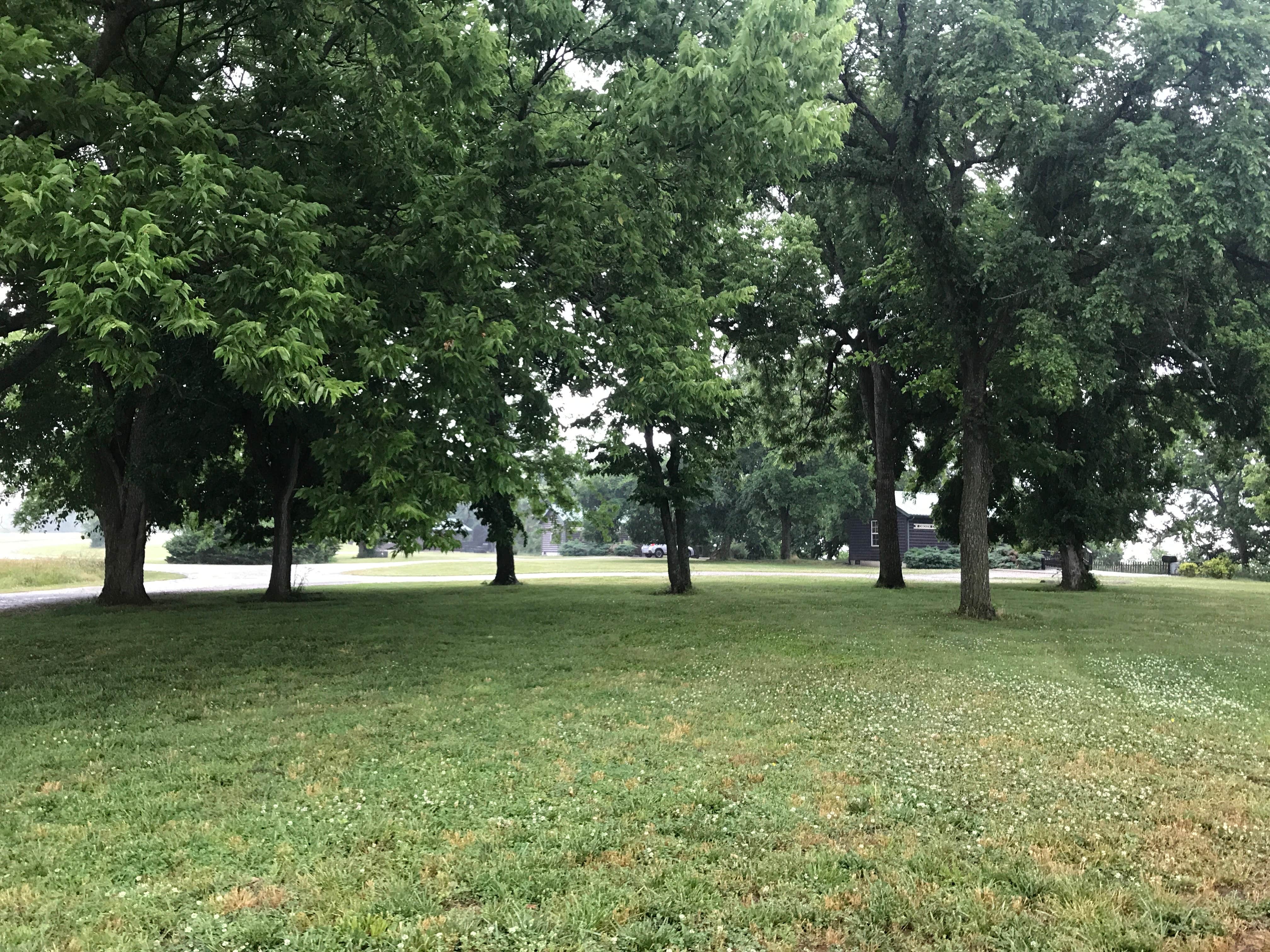 Camper-submitted photo at Prairie Clover Campground — Clinton State Park in Kansas