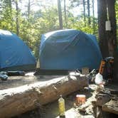 Review photo of Carver Campground — Buffalo National River by Ashley F., October 26, 2017