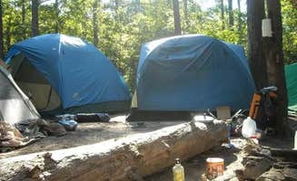 Ashley F.'s photo at Carver Campground — Buffalo National River near Marble Falls, AR