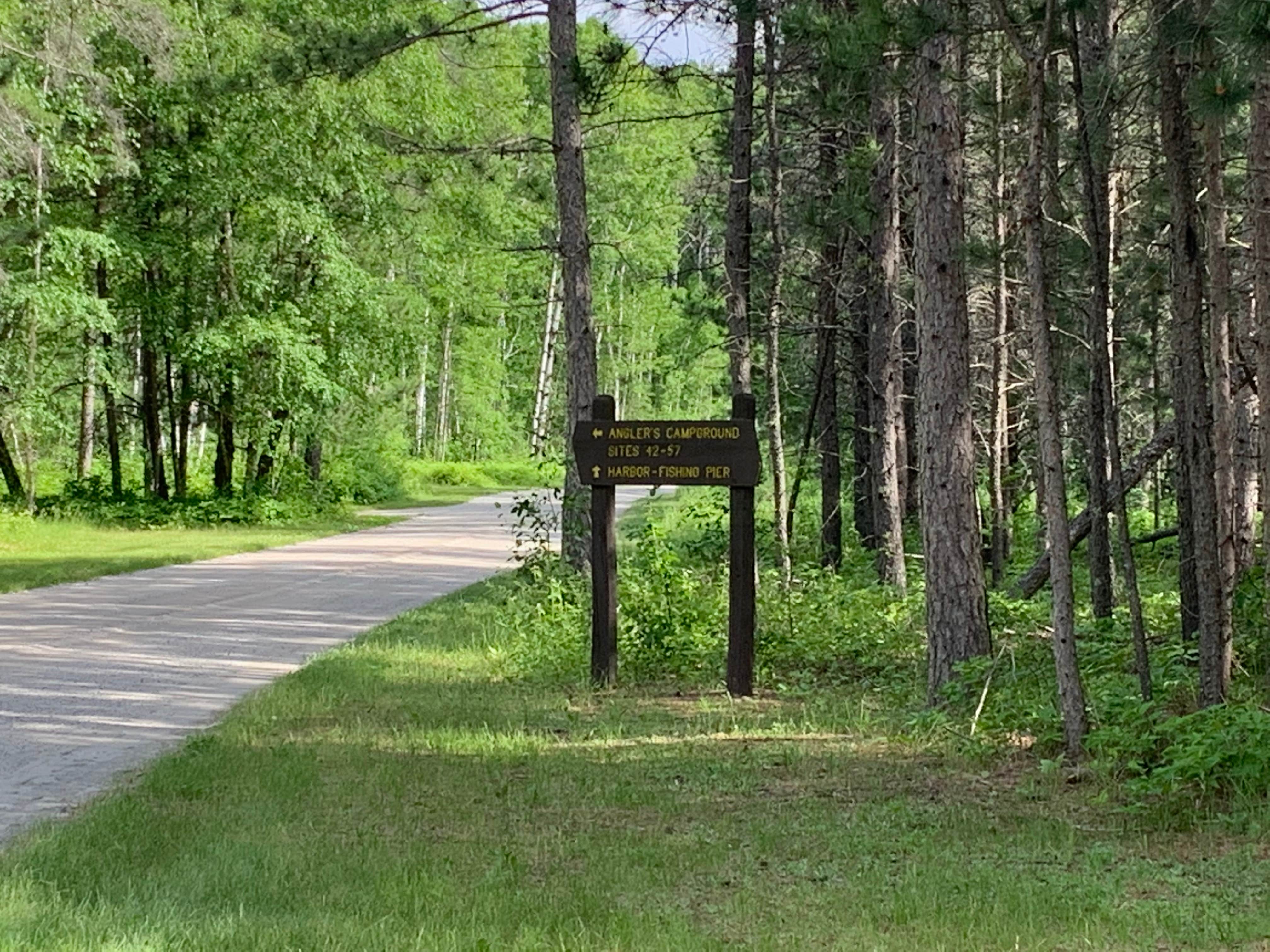 Camper submitted image from Zippel Bay State Park Campground - 3