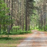 Review photo of Zippel Bay State Park Campground by Scott M., June 19, 2020