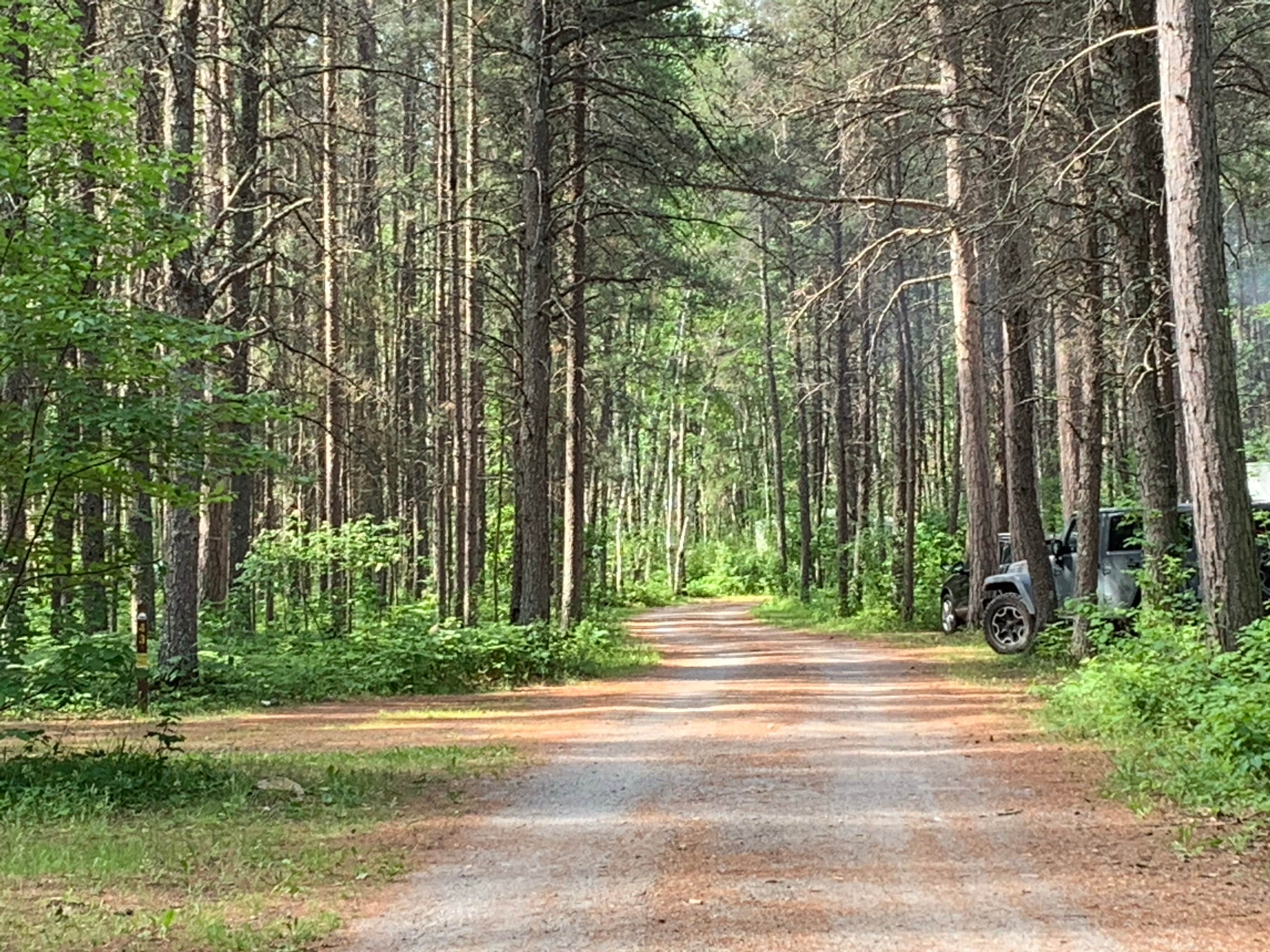 Camper submitted image from Zippel Bay State Park Campground - 3