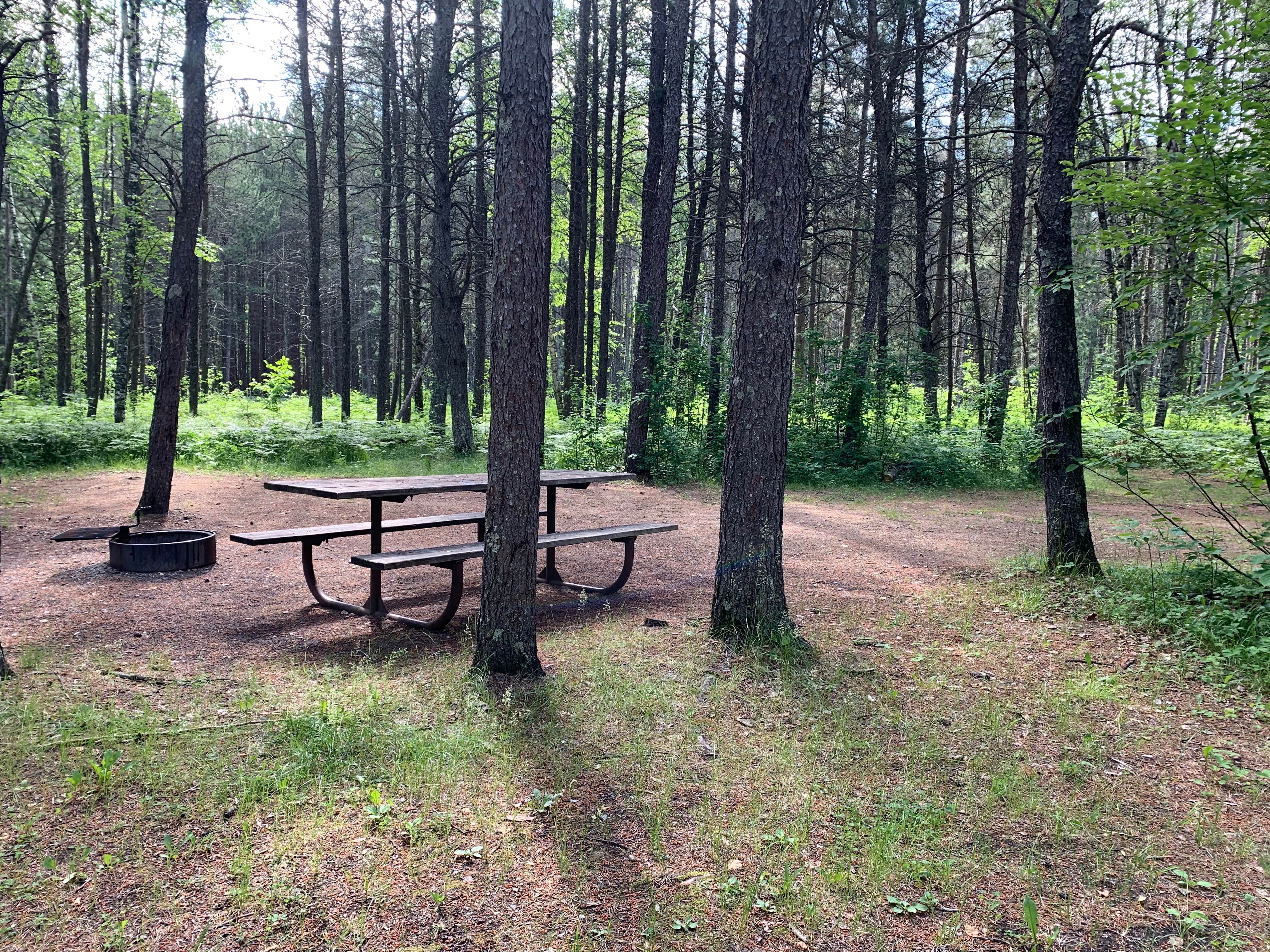 Camper submitted image from Zippel Bay State Park Campground - 4