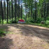 Review photo of Zippel Bay State Park Campground by Scott M., June 19, 2020