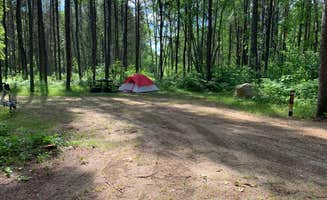 Scott M.'s photo at Zippel Bay State Park Campground near Birchdale, MN