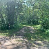 Review photo of Zippel Bay State Park Campground by Scott M., June 19, 2020