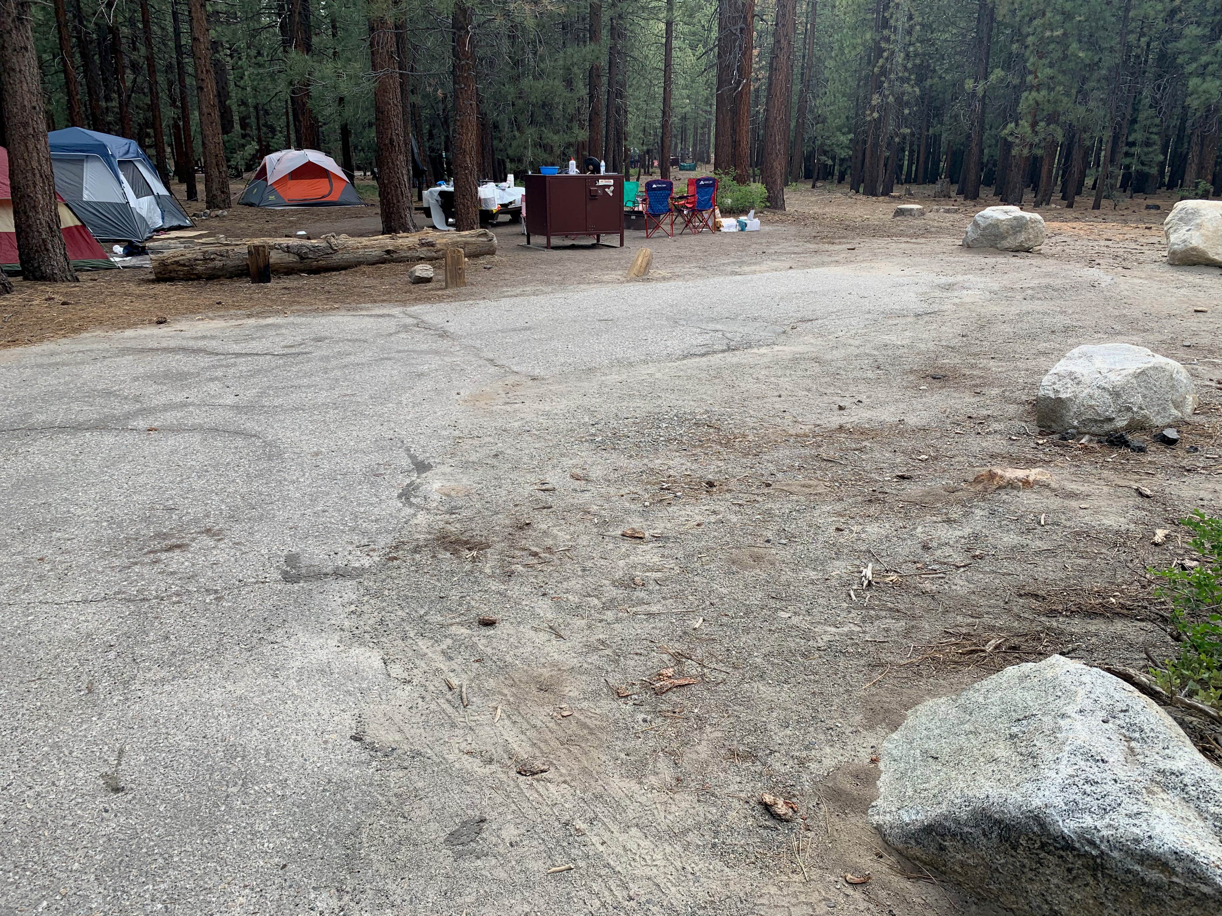 Camper submitted image from New Shady Rest Campground - 3