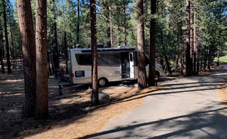 David W.'s photo of rv camping at New Shady Rest Campground near Toms Place, CA