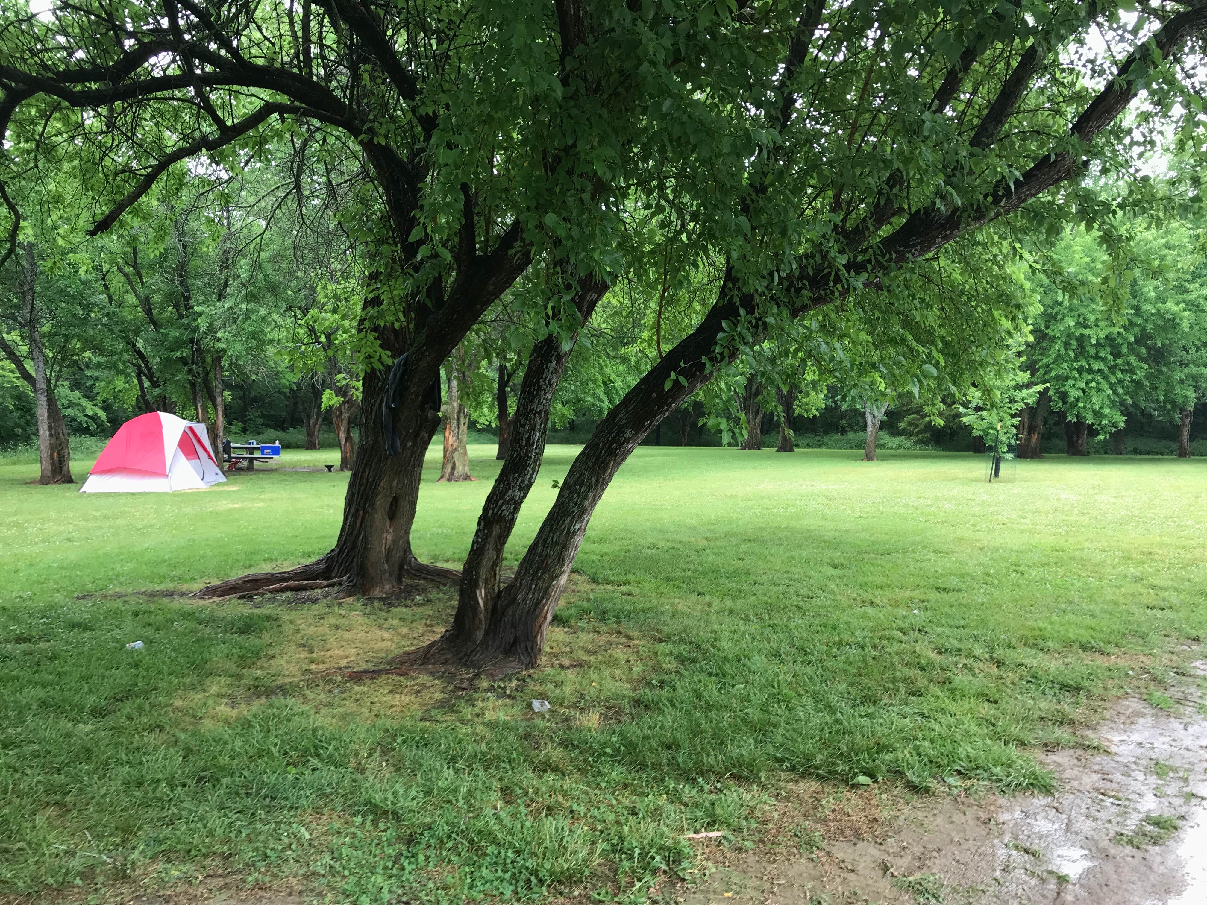 Juliana H.'s photo of tent camping at Woodridge - Clinton Lake near Lyndon, KS