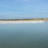 Review photo of Fort De Soto Campground by B M., May 27, 2020