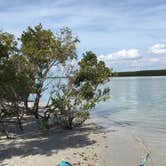 Review photo of Fort De Soto Campground by B M., May 27, 2020
