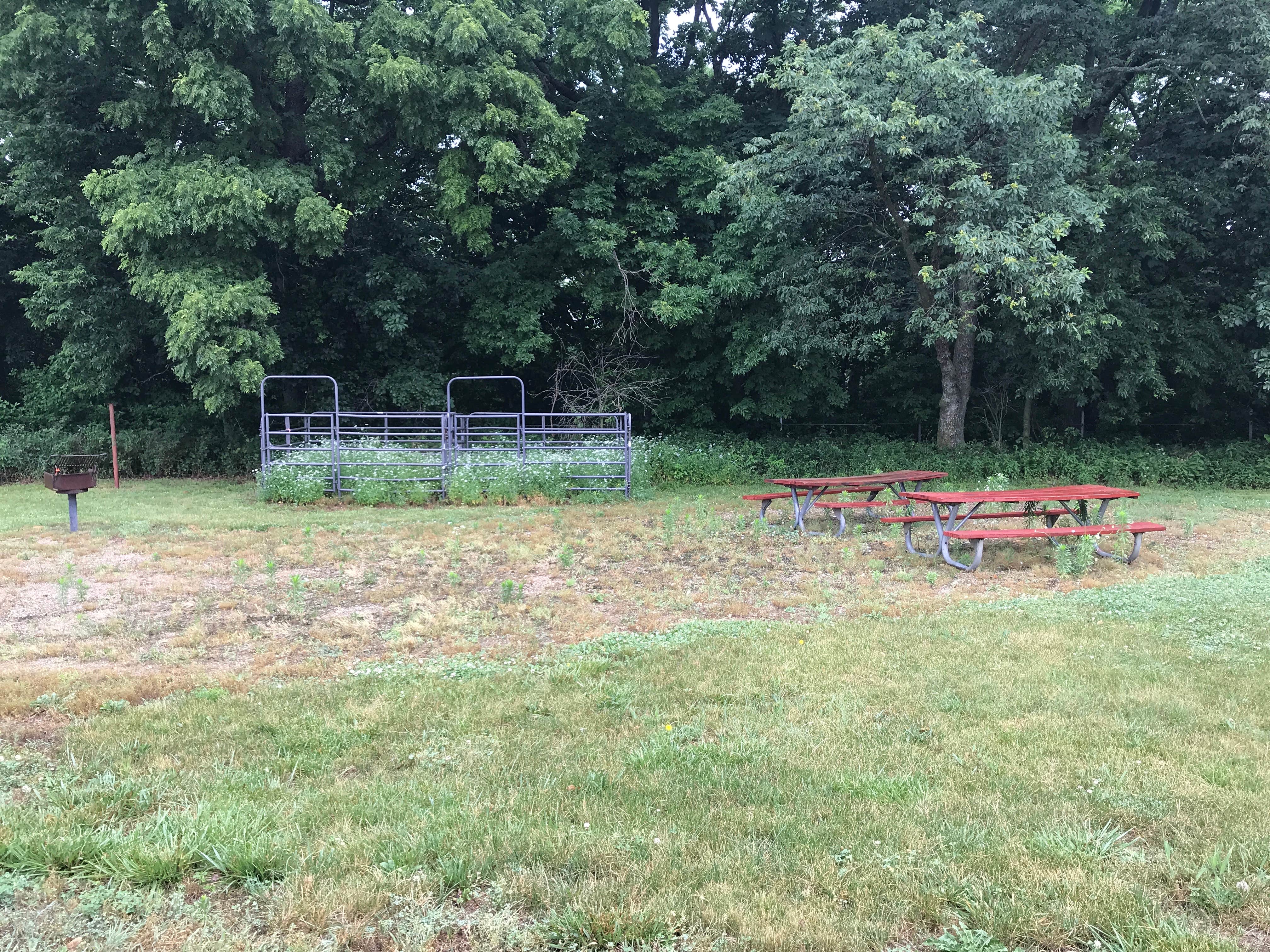 Camper submitted image from Rockhaven Park Equestrian Campground - 5