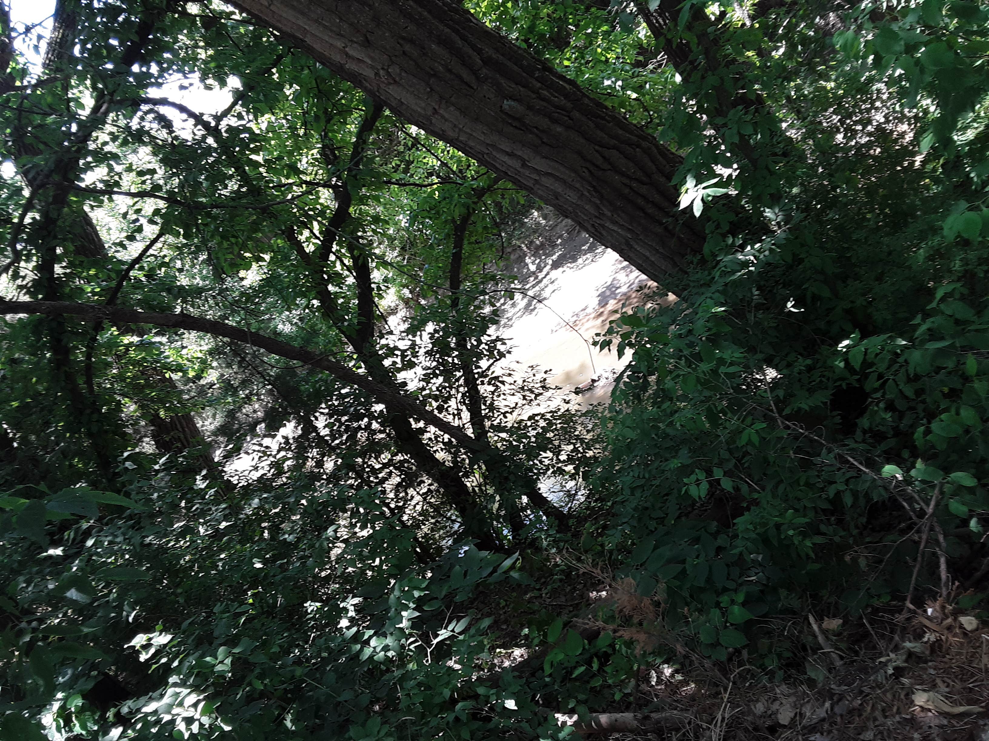 Camper-submitted photo at Humbolt City Park and Cancer Garden near Du Bois, NE