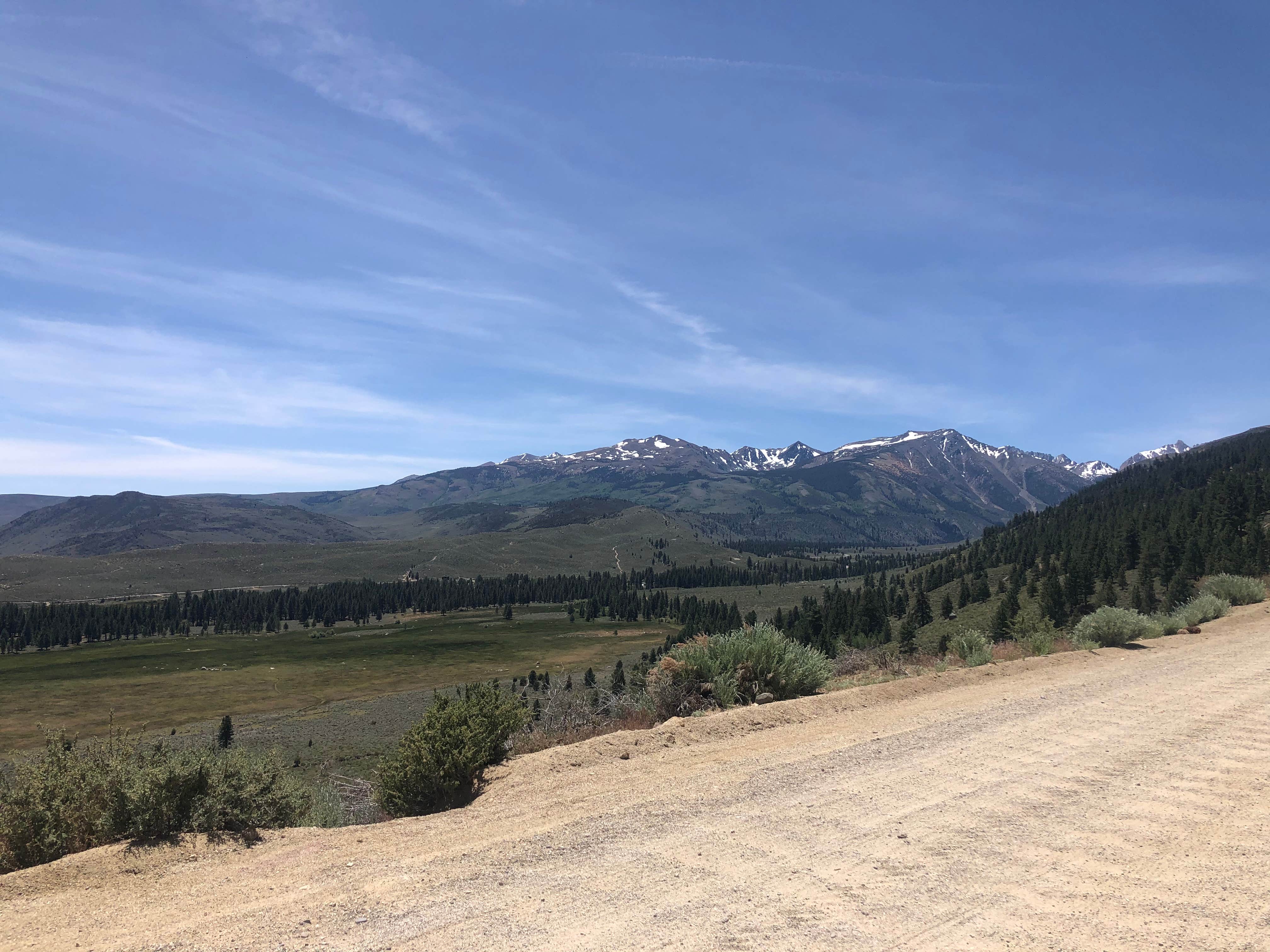 Camper-submitted photo at Buckeye Campground near Coleville, CA