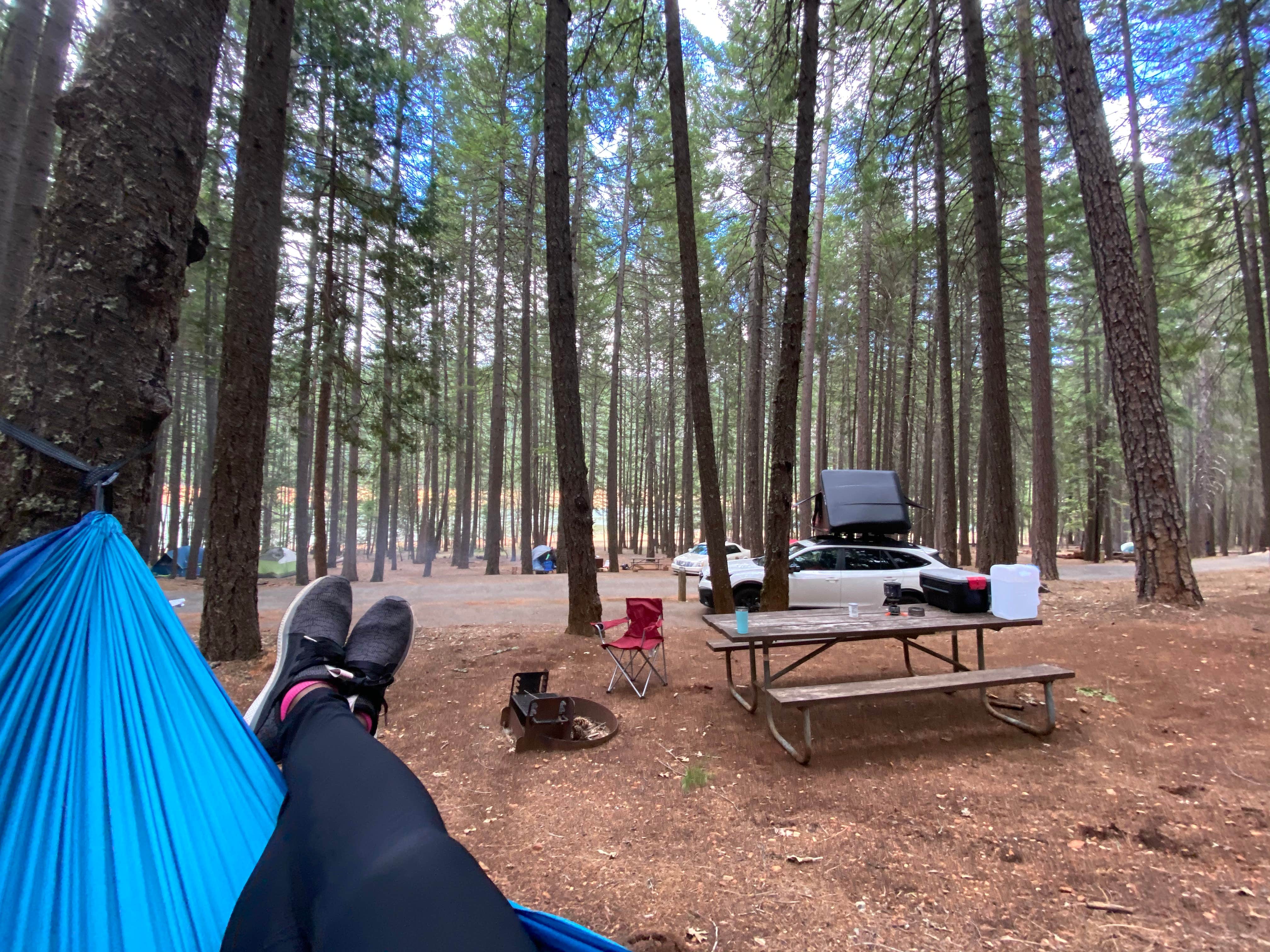 Kimberly  W.'s photo at Hayward Flat near French Gulch, CA