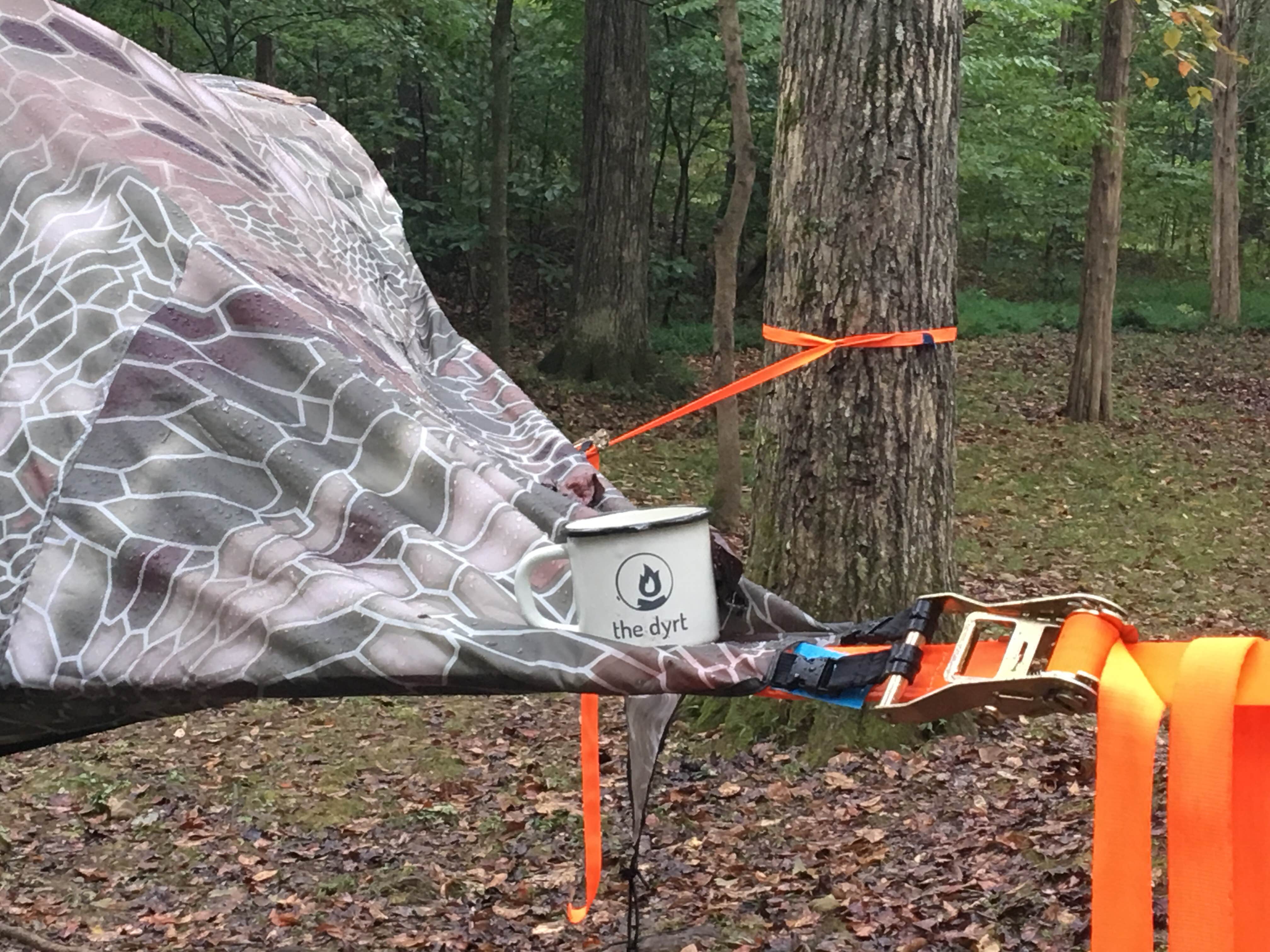 Camper submitted image from Meramec State Park Campground - 4