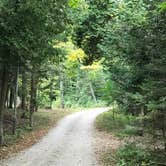 Review photo of Leelanau State Park Campground by Kathie M., June 19, 2020