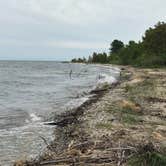 Review photo of Harrisville State Park Campground by Kathie M., June 19, 2020